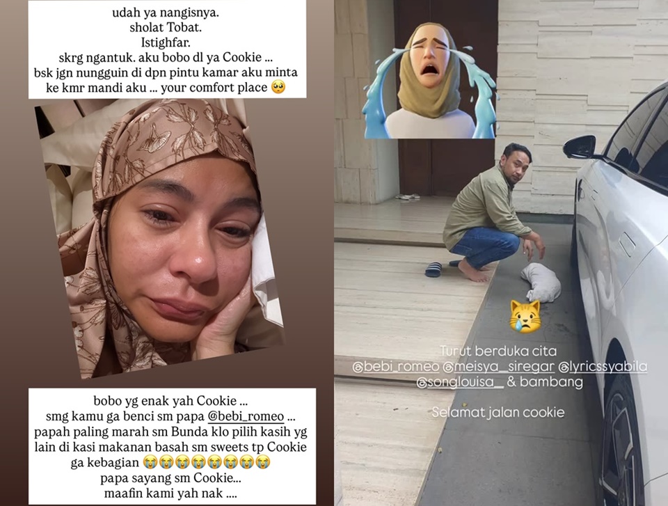 Meisya Siregar Ungkap Cerita Duka Kehilangan Kucing Kesayangan Akibat Kelalaian Bebi Romeo [Instagram]